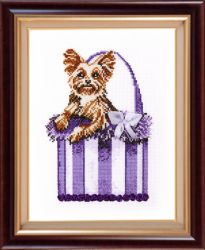 430 Йоркширский терьер (Овен)