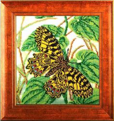 В-405 "Иллюзия солнца" (КРОШЕ)