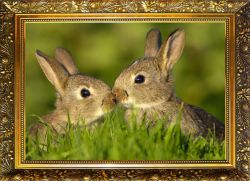 NR-19 Алмазная мозаика Милато "Парочка"