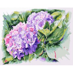 GX26934 Картина по номерам Paintboy "Гортензия"
