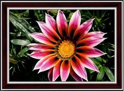 С-0016 Алмазная мозаика с рамкой PSP "Гацания"