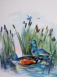 ЖК-2094 (JK-2094) Набор для вышивания Панна "Уточки" серия "Живая картина"