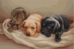 "Три собачки" (Luca-S)