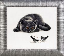 1109 "Наблюдаю" (Alisena)