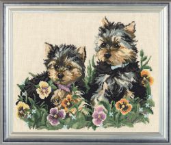 605 Любимые питомцы (Овен)