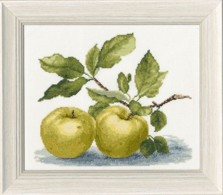 ФС-005 Набор для вышивания Золотое руно "Антоновка"