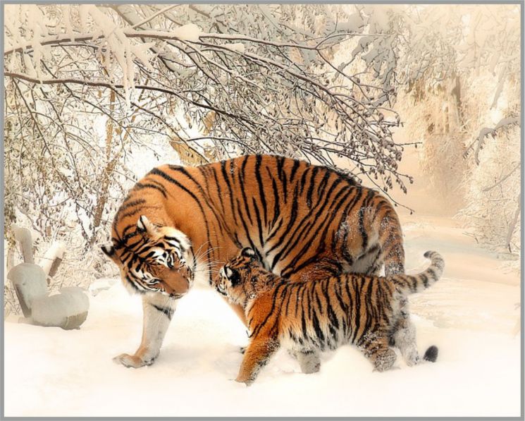 F-405 Алмазная мозаика МИЛАТО "На прогулке"