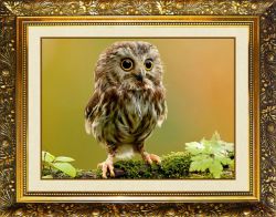 SP-23 Алмазная мозаика МИЛАТО "Милый совенок"