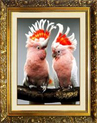 SP-25 Алмазная мозаика МИЛАТО "Пара какаду"