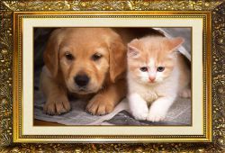 N-364 Алмазная мозаика МИЛАТО "Друзья с детства"