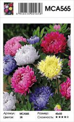 MCA565 Картина по номерам  "Астры"