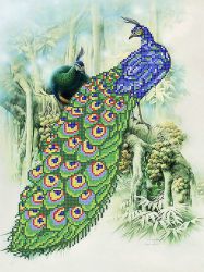 КБ-172 Схема для вышивания бисером ТМ Наследие "Павлин"