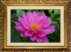 N-116 Алмазная мозаика Милато "Розовый лотос"