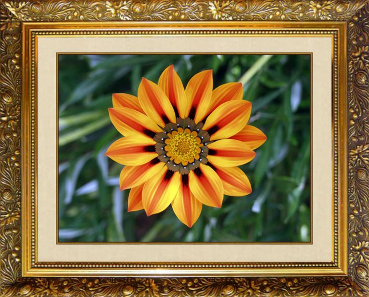 Алмазная мозаика Милато "Африканская ромашка" N-117