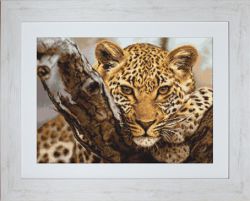  "Леопард" (Luca-S)