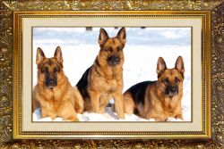 F-109 Алмазная мозаика МИЛАТО "Три друга"