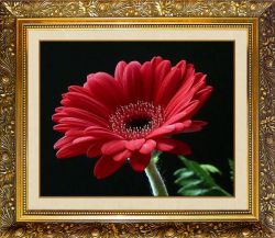N-308 Алмазная мозаика Милато "Гербера красная"
