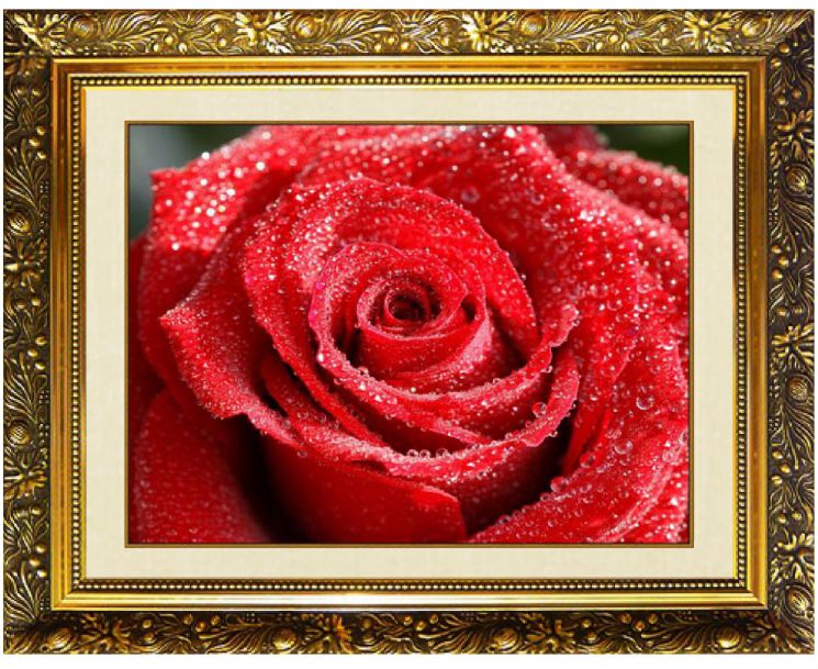 Алмазная мозаика Милато "Бутон в росе" N-310