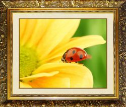 N-350 Алмазная мозаика Милато "Солнечный цветок"