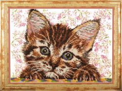 В-254 "Ласковый мой" (КРОШЕ)